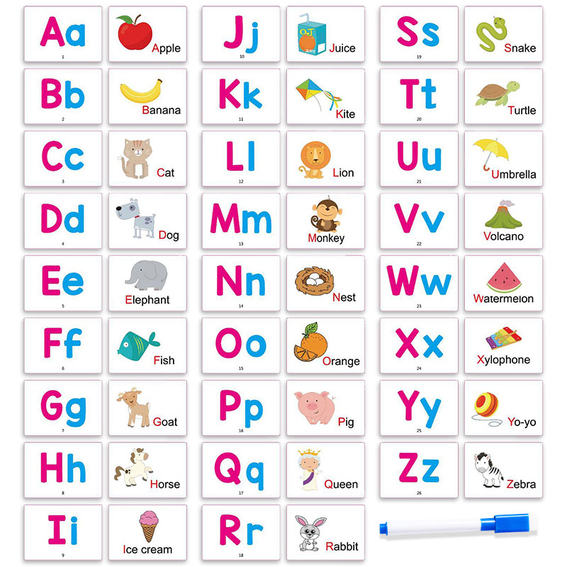 27 Karty z Pierwszymi Słowami  – Abc Kids Early Education recenzja i cena