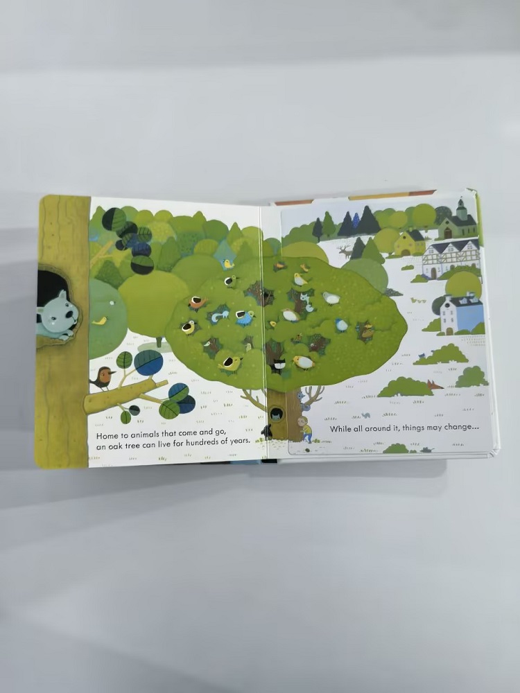 Usborne Podglądając wewnątrz d – Kids Early Education Books recenzja i cena